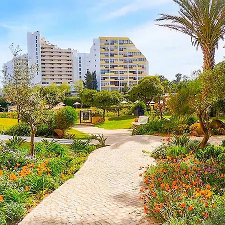 T2 Club Amarilis -