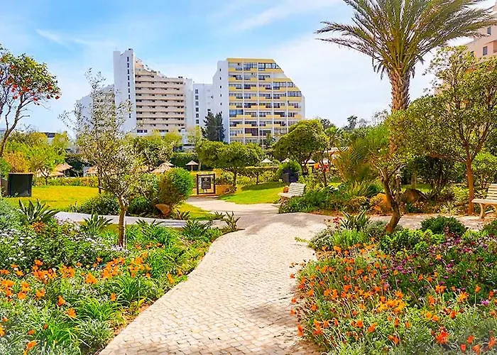 T2 Club Amarilis -